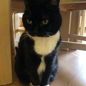 Meet your Posher, Loulou